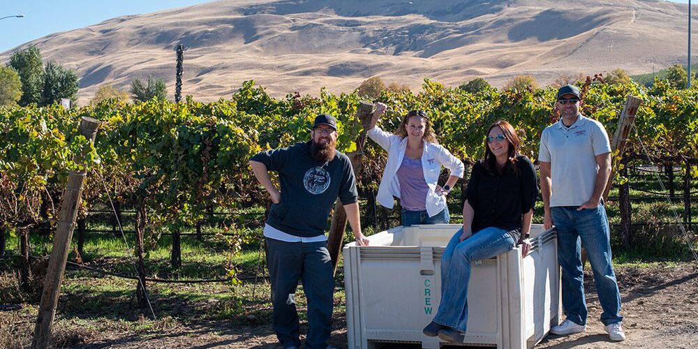 Crimson Vine Marketing team in vineyard